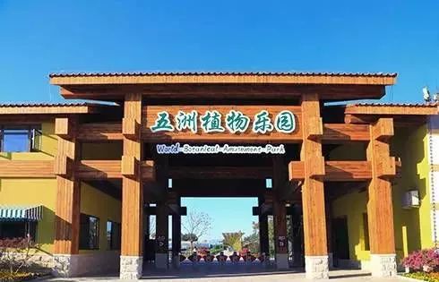 京西这处热带植物园大人孩子都适合！带你进入流光溢彩的森林幻景！